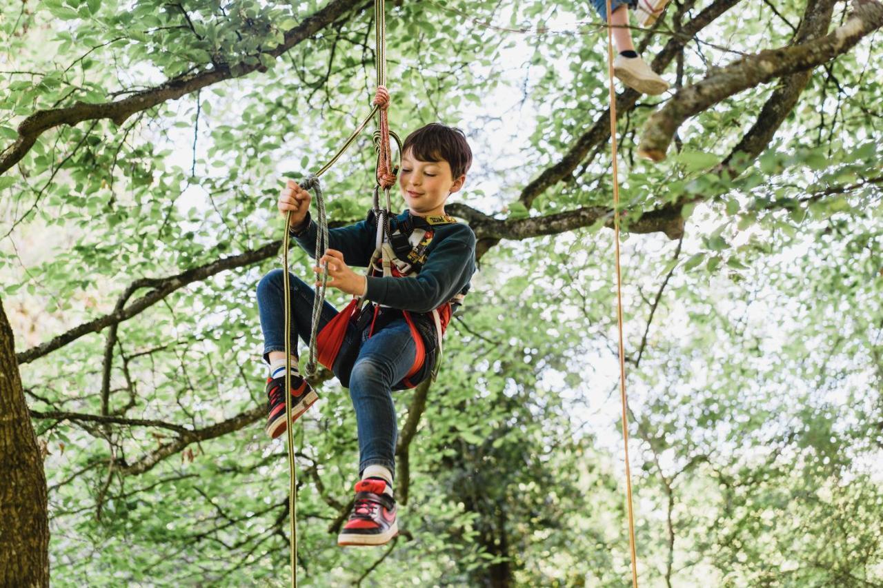 Cocoon Village - Glamping - Domaine Des Grottes De Han Rochefort Esterno foto